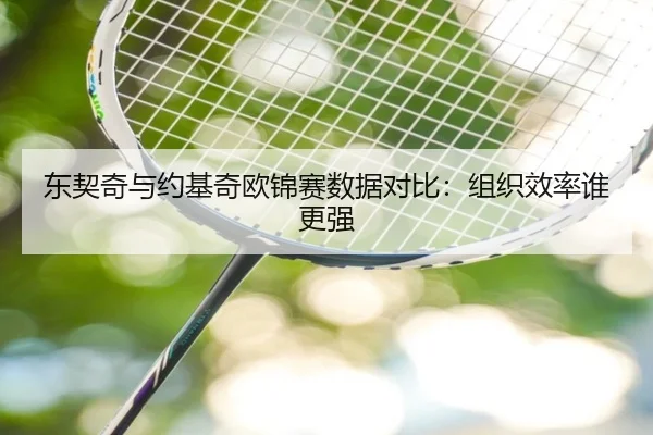 东契奇与约基奇欧锦赛数据对比:组织效率谁更强